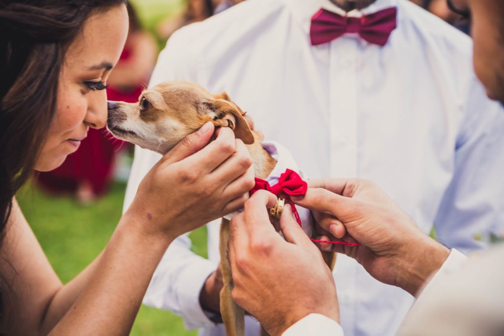 Matrimonio de Caro y Diego en Centro de eventos Antumalal – foto de Antonio Orellana (79)