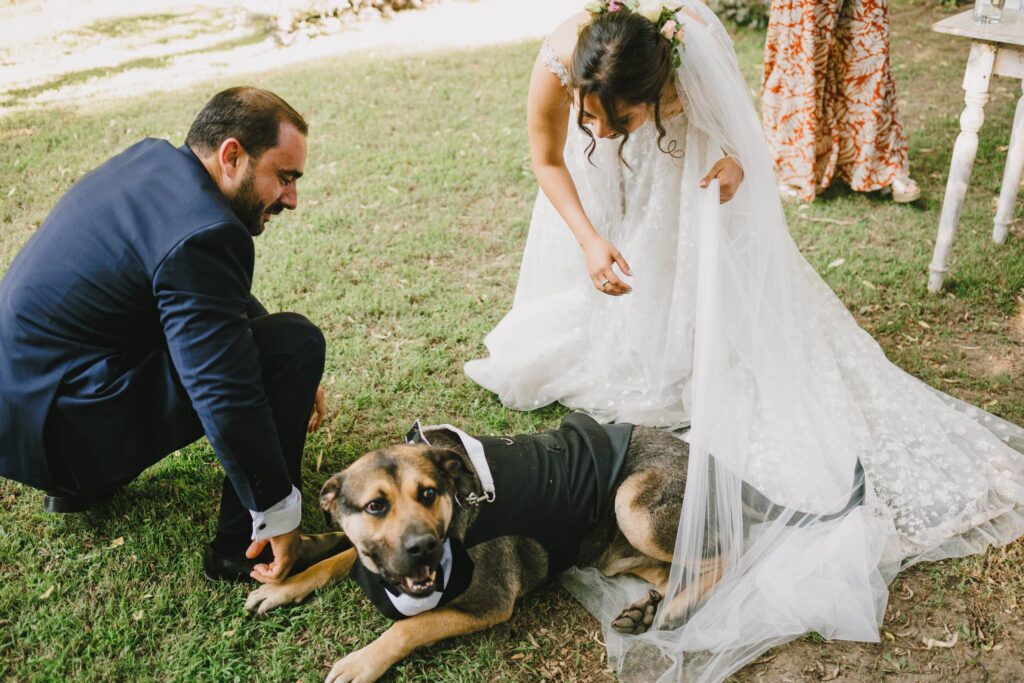 Matrimonio de Pato y Marina en Los Andes, Antumalal – foto de Antonio Orellana (109)