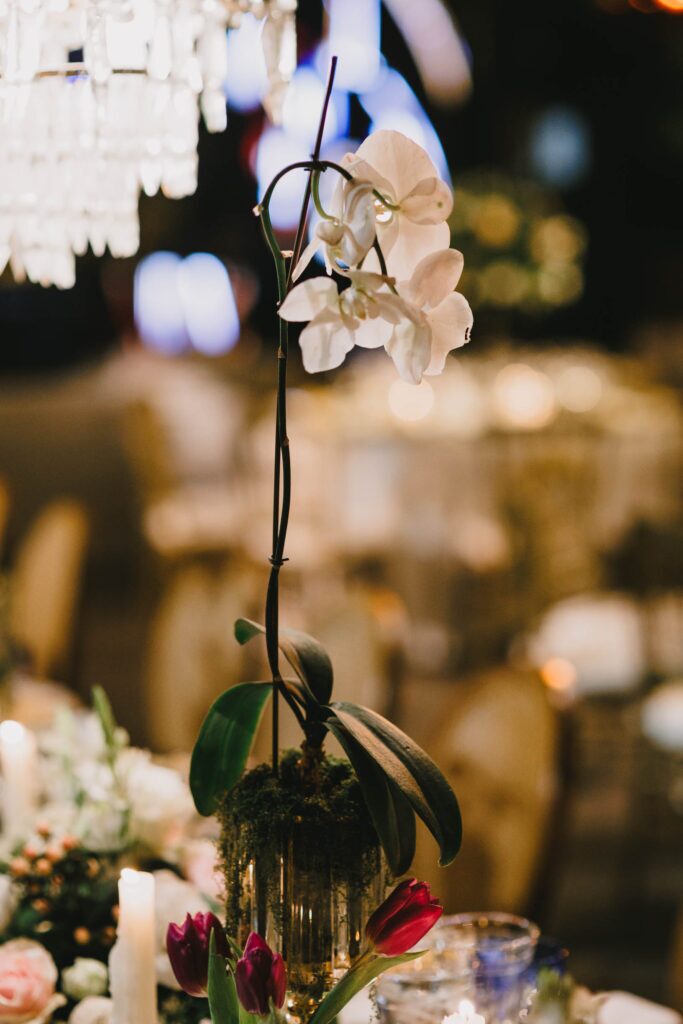 Matrimonio de Carmen y Pedro en Santiago, Alto Noviciado – foto de Antonio Orellana (160)