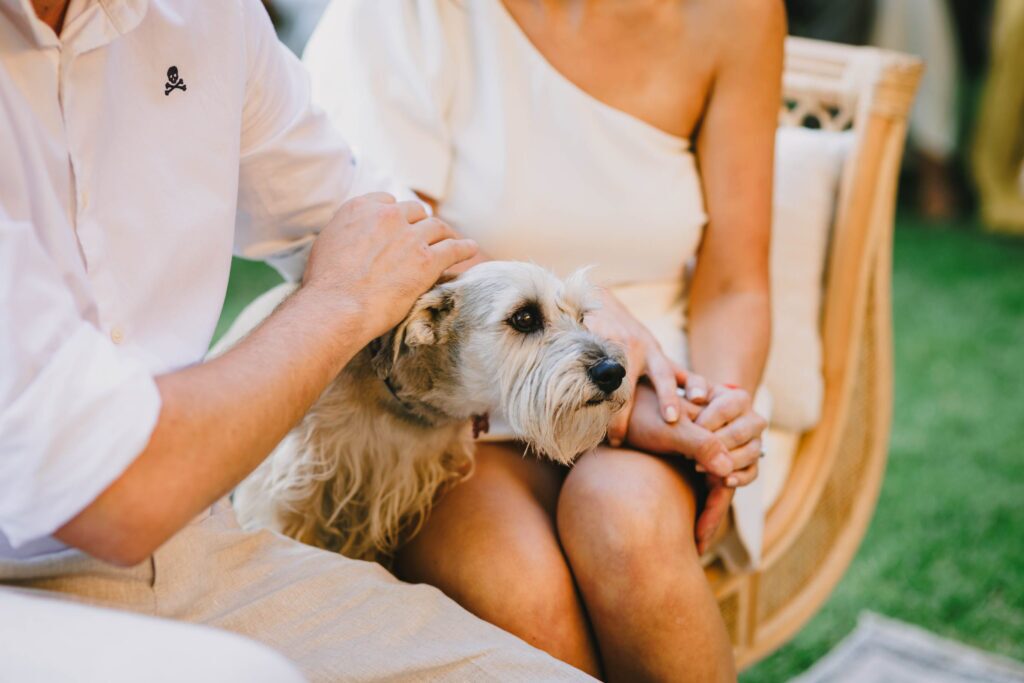 Matrimonio de Javier y Ema en Santiago – foto de Antonio Orellana (118)