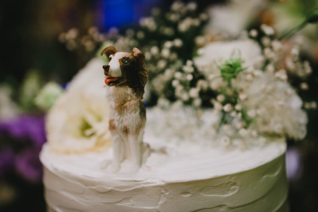 Matrimonio de Matias y Vale en Santiago, Casa de Campo Talagante – foto de Antonio Orellana (125)
