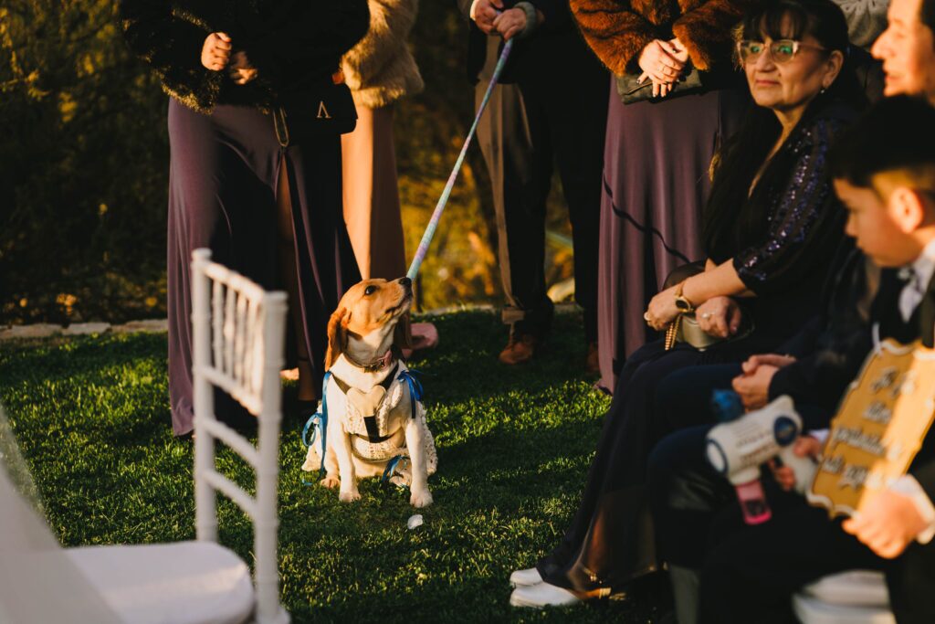 Matrimonio de Nelson y Dani en Botanico, Santiago – foto de Antonio Orellana (87)
