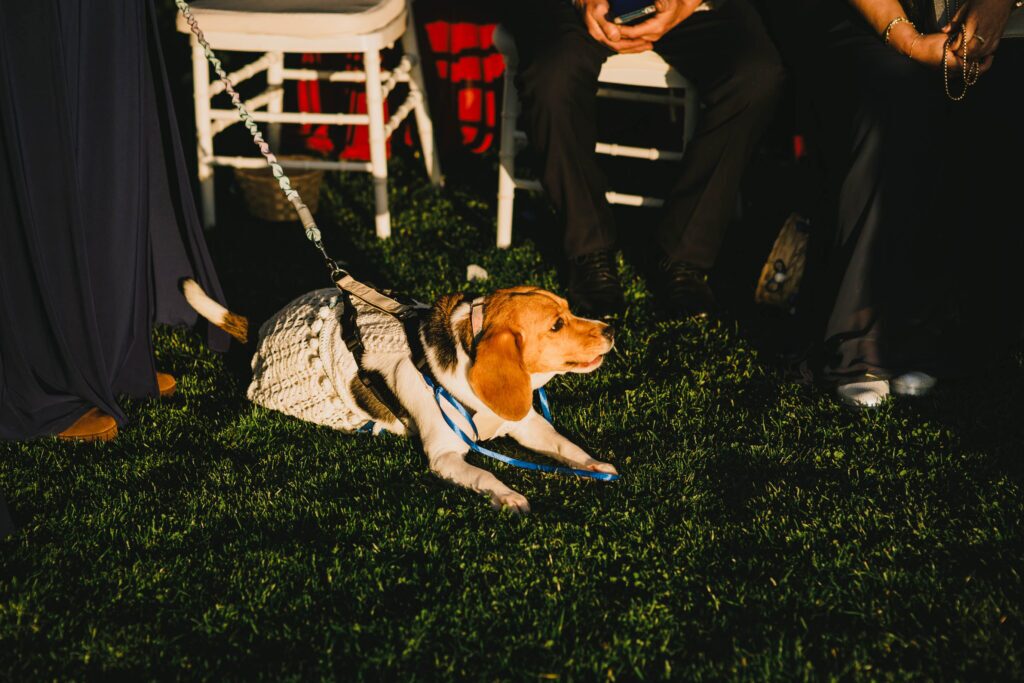 Matrimonio de Nelson y Dani en Botanico, Santiago – foto de Antonio Orellana (80)